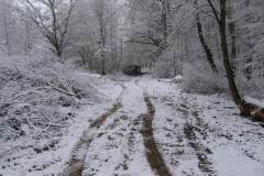 2009-3-Výstavba-mlatové-cesty-Milíčovský-les-a2