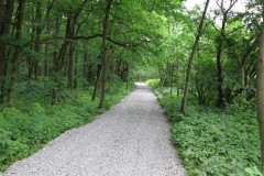 2009-3-Výstavba-mlatové-cesty-Milíčovský-les-a3