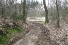 2016-3-Oprava-povrchu-cesty-podel-Botice-a3