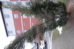 2019-4-Rekonstrukce-Katerinskeho-namesti-a2