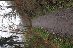 2020-12-Oprava-povrchu-cesty-podel-Botice-a2