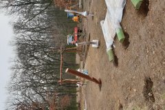 2020-2-Rekonstrukce-DH-u-lesa-a3
