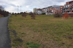 2021-16-Oseti-kvetnate-louky