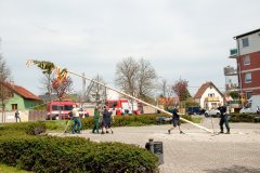 DSC_3208