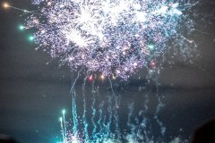 DSC_1342
