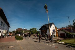 DSC_6376 DSC_6376