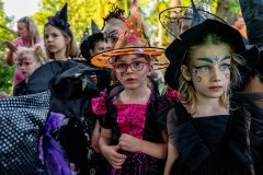 DSC_6636 DSC_6636