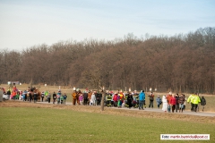 mini-DSC_8759