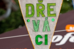 DSC_9320