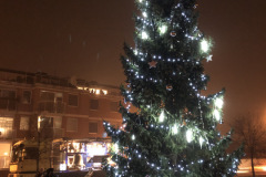 IMG-1945